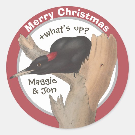 Sticker Rond Joyeux Noël +quoi de neuf? Pic de John Gould (Devant)