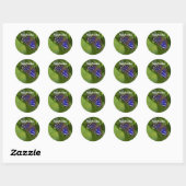 Sticker Rond Joyeux papillon bleu et blanc Hanoukka (Feuille)