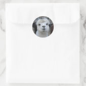 Sticker Rond Jules Verne (Sac)