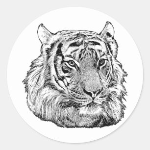 Sticker Rond Jungle Tiger Face safari animal nature originale