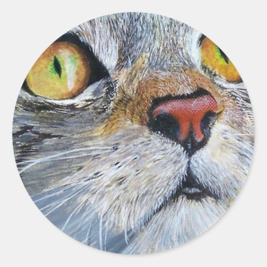 Sticker Rond Junior le chat (Devant)