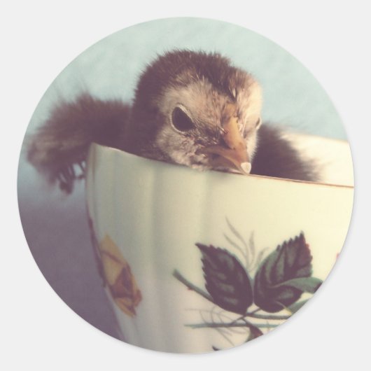 Sticker Rond Juste Chillin' (Devant)