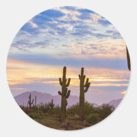 Juste un autre soleil coloré du désert de Sonoran