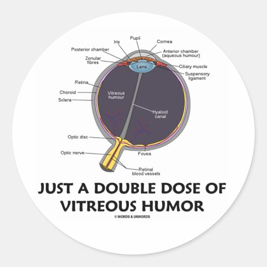 Sticker Rond Juste Une Double Dose D'Humour Vitreux (Anatomie D (Devant)