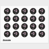 Sticker Rond JWST James Webb Télescope spatial Quintet de Steph (Feuille)