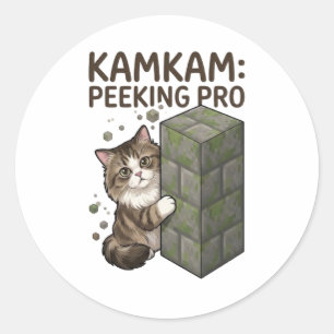 Sticker Rond KAMKAM Curieux Pro Drôle Pixel Block Art de Chat