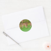 Sticker Rond kanga (Enveloppe)
