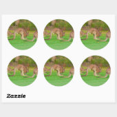 Sticker Rond kanga (Feuille)