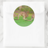 Sticker Rond kanga (Sac)