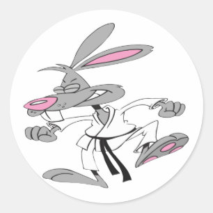 Sticker Rond Karate Bunny