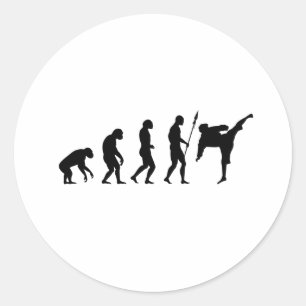 Sticker Rond karate kick evolution