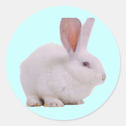 Sticker Rond Kawaii Cute Bunny (Devant)