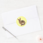 Sticker Rond Kawaii Cute Lapin Lapin (Enveloppe)