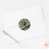 Sticker Rond Keel Billed Toucan (Enveloppe)