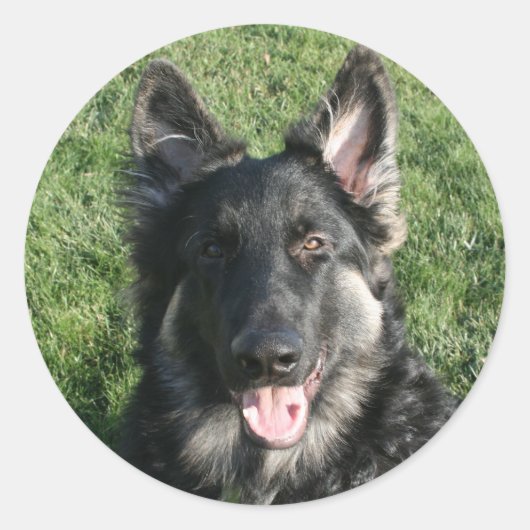 Sticker Rond Kepler (Devant)