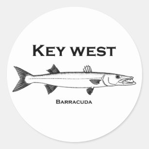 Sticker Rond Key West Barracuda