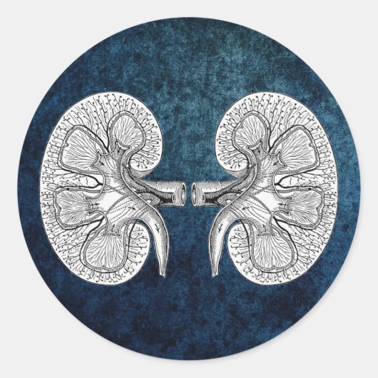 STICKER ROND KIDNEY 2 (Devant)
