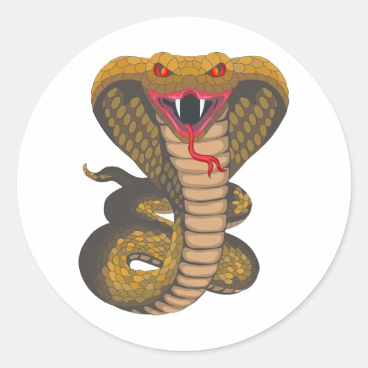 Sticker Rond King Cobra (Devant)