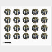 Sticker Rond King Penguin (Feuille)