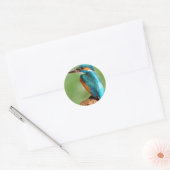 Sticker Rond Kingfisher (Enveloppe)