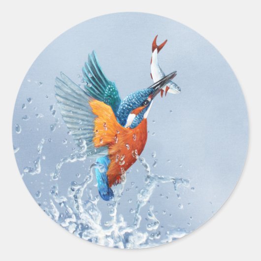 Sticker Rond Kingfisher qui sort de l'eau (Devant)