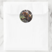 Sticker Rond Kinkajou (Potos flavus) (Sac)