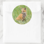 Sticker Rond Kit Renard rouge dans l'herbe près de la tanière (Sac)