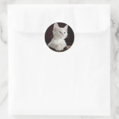 Sticker Rond Kitten blanc adorable avec yeux bleus et nez rose (Sac)