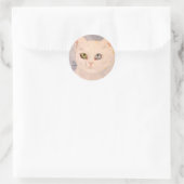 Sticker Rond Kitten blanc avec oeil bleu et oeil vert classique (Sac)