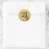 Sticker Rond Kitten cool en lunettes de soleil (Sac)