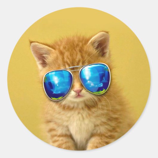 Sticker Rond Kitten cool en lunettes de soleil (Devant)