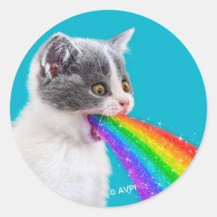 Sticker Rond Kitten crache vers le ciel