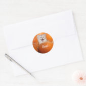 Sticker Rond Kitten en citrouille (Enveloppe)