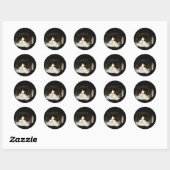 Sticker Rond Kitten noir et blanc (Feuille)