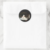 Sticker Rond Kitten noir et blanc (Sac)