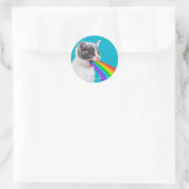 Sticker Rond Kitten Spire vers le haut arc-en-ciel (Sac)