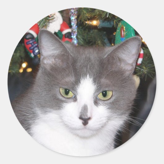 Sticker Rond Kitty de Noël gris et blanc (Devant)