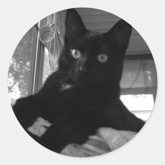Sticker Rond Kitty noir (Devant)