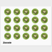 Sticker Rond Kiwi (Feuille)