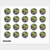 Sticker Rond Kiwi (Feuille)