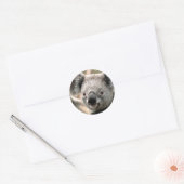 Sticker Rond Koala (Enveloppe)
