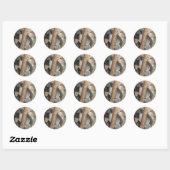 Sticker Rond Koala (Feuille)