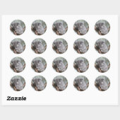 Sticker Rond koala (Feuille)