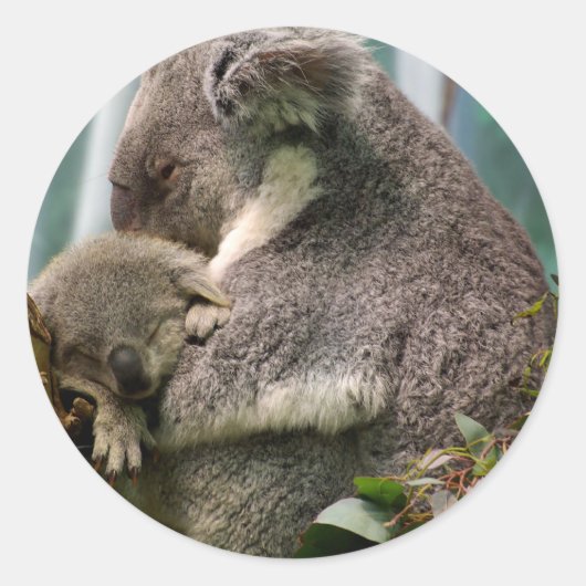 Sticker Rond Koala Maman et Nouveau bébé (Devant)