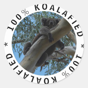 Sticker Rond Koalafied Cute Funny Koala dans un arbre