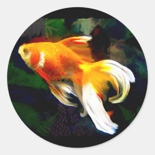 Sticker Rond Koi doré brillant dans l'étang de poisson foncé