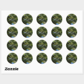Sticker Rond Koi Pond (Feuille)