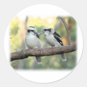 Sticker Rond Kookaburra 9Y179D-037