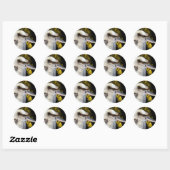 Sticker Rond Kookaburra, aile bleue australienne, (Feuille)