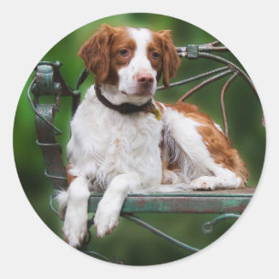 Sticker Rond La Bretagne
